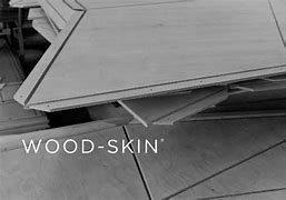 Image result for Skin Becomes Wood