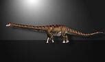 Image result for Largest World Biggest Dinosaur