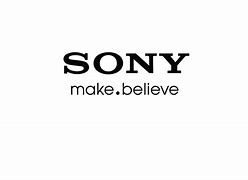 Image result for Sony A5000 Megapixels