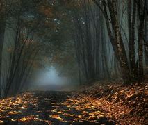 Image result for Dark Fall Autumn Wallpaper