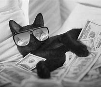 Image result for Business Cat Meme New Year's