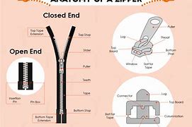 Image result for Zipper Anatomy