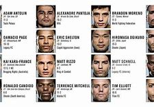 Image result for UFC Fighters Names