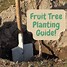 Image result for Apple Tree Seedling