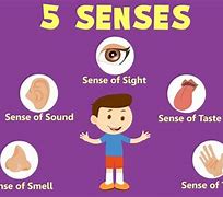 Image result for 5 Senses Gift Printable