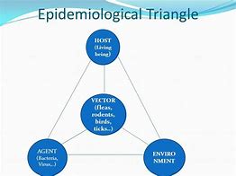 Image result for Epidemiological Triangle