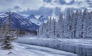 Image result for Winter iPad Air Wallpaper