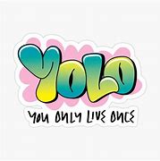 Image result for Cool Yolo