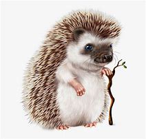 Image result for Hedgehog ClipArt