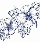 Image result for Flower Drawing for PPT