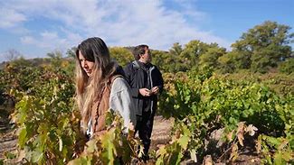 Image result for Santalba Rioja Mutuo Viticultura Ecologica Crianza