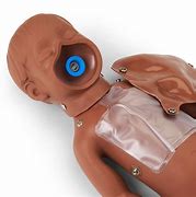 Image result for Infant CPR Manikin