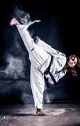 Image result for Karate Kick Martial Arts