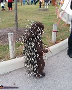 Image result for Echidna Costume