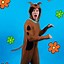 Image result for Scooby Doo Accessories