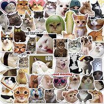 Image result for Cat. Emoji Phone Case