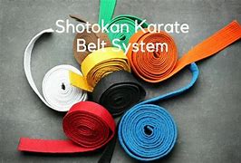 Image result for Shotokan Belt System