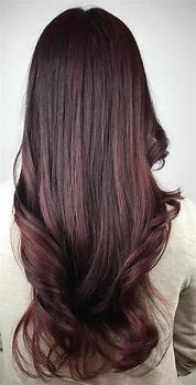 Image result for Medium Mahogany Brown Hair Color