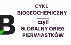 Image result for cykl_biogeochemiczny
