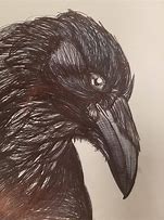 Image result for Search for a Drawing of a Raven