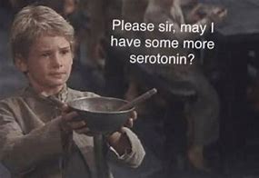 Image result for Serotonin Meme