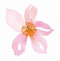 Image result for Simple Watercolor Flowers