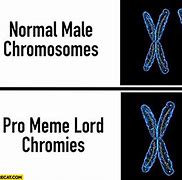 Image result for Chromosome Memes