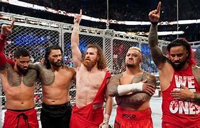 Image result for Roman Reigns the Ones