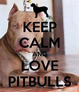 Image result for Keep Calm and Love Pit Bulls