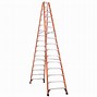 Image result for 16 Foot Ladder