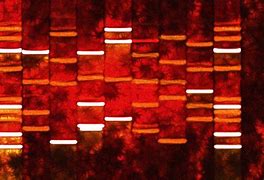 Image result for DNA Matches Pics Meme