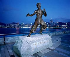 Image result for Hong Kong Kung Fu