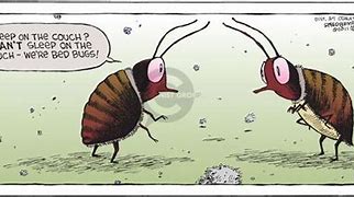 Image result for Funny Bug Sayings