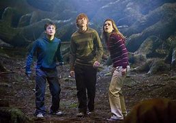 Image result for Harry Potter and the Order of the Phoenix Cast