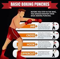 Image result for Punch Combat