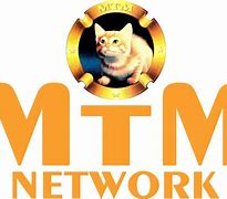 Image result for MTM Network Map