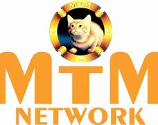 Image result for MTM TV