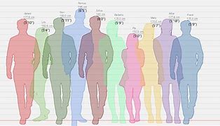 Image result for 154 CM Height