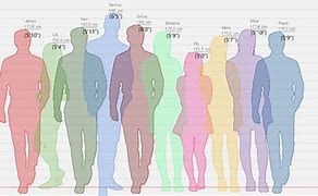 Image result for 183 Cm Height