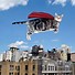 Image result for Cat Flying Over Shed