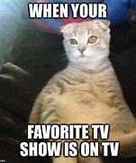 Image result for Cat Watching TV Meme