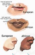 Image result for Physical Differences Between Races