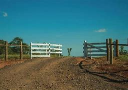 Image result for Beef Cattle Ranch