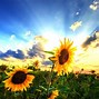 Image result for Summer Country Scenes Wallpaper