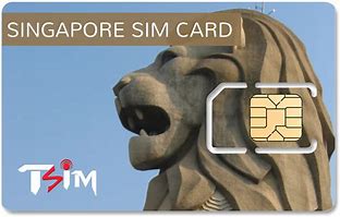 Image result for Sim Card Singapore