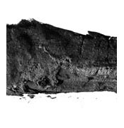 Image result for Burnt Scroll Paper