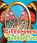 Image result for Butterfly Spot the Difference