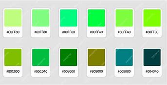 Image result for Olive Green Color Swatch