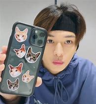 Image result for Cat Design for Phone Case