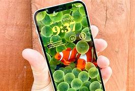 Image result for iPhone X iOS